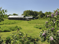 Meadow Field Luxury Glamping