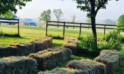 Field with a View Winchester