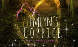 Emlyn's Coppice - Woodland Glamping
